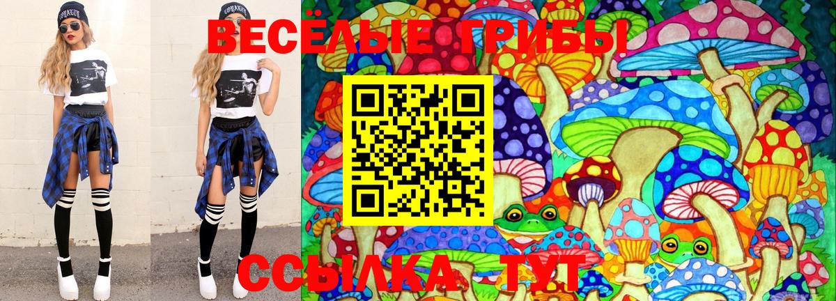 Псилоцибиновые грибы Psilocybine cubensis  Вход с VPN  Киржач 