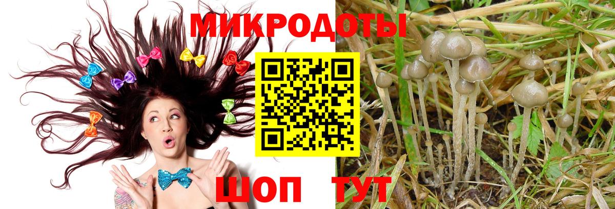 Псилоцибиновые грибы мицелий Киржач